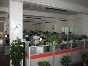 武漢灝信信息技術服務圖冊 引領數字化轉型的專業力量