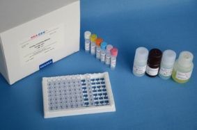 小鼠催產素(OT)ELISA試劑盒產品展示——48T/96T規格，美國R&D、RB(rapidbio)及國產可選